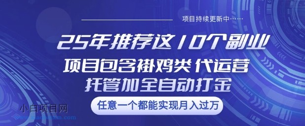 25年推荐这10个副业项目包含褂鸡类、代运营托管类、全自动打金类【揭秘】-小白项目分享网