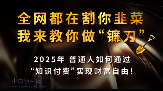 全网都在割你韭菜，我来教你做镰刀,2025普通人如何通过知识付费，实现财F自由【揭秘】-小白项目分享网
