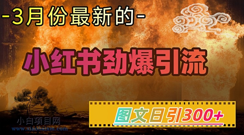 小红书超劲爆引流手段，图文日引300+轻松变现1W-小白项目分享网