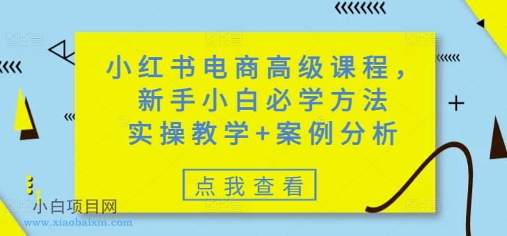 小红书电商高级课程，新手小白必学方法，实操教学+案例分析-小白项目分享网