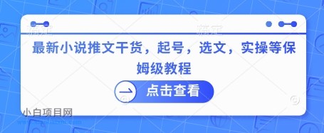 最新小说推文干货，起号，选文，实操等保姆级教程-小白项目分享网