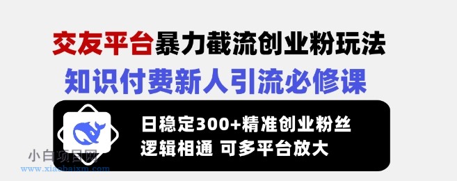 交友平台暴力截流创业粉玩法，知识付费新人引流必修课，日稳定300+精准创业粉丝，逻辑相通可多平台放大-小白项目分享网