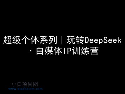 超级个体系列，玩转DeepSeek·自媒体IP训练营，deepseek教程-小白项目分享网