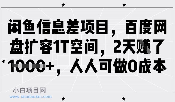 闲鱼信息差项目，百度网盘扩容1T空间，2天收益1k+，人人可做0成本-小白项目分享网