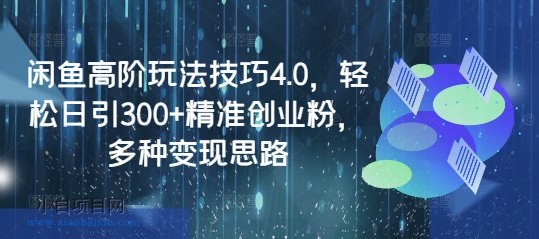 闲鱼高阶玩法技巧4.0，轻松日引300+精准创业粉，多种变现思路-小白项目分享网