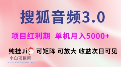 搜狐音频挂机3.0.可矩阵可放大，独家技术，稳定月入5000+【揭秘】-小白项目分享网