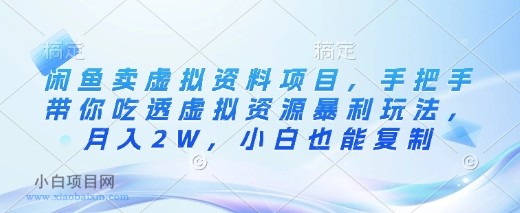 闲鱼卖虚拟资料项目，手把手带你吃透虚拟资源暴利玩法，月入2W，小白也能复制-小白项目分享网