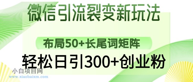 微信引流裂变新玩法：布局50+长尾词矩阵，轻松日引300+创业粉-小白项目分享网