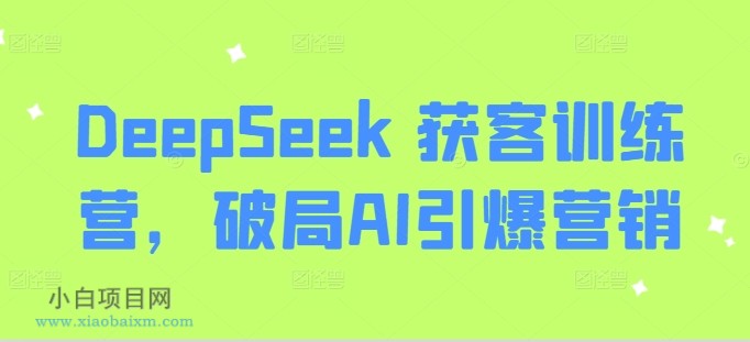 DeepSeek 获客训练营，破局AI引爆营销-小白项目分享网