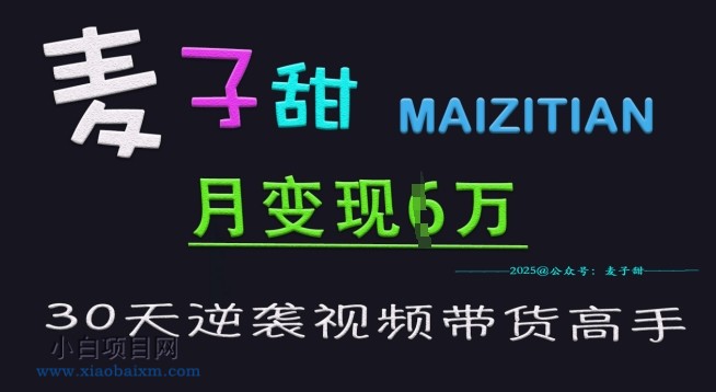 麦子甜30天逆袭视频带货高手，单月变现6W加特训营-小白项目分享网