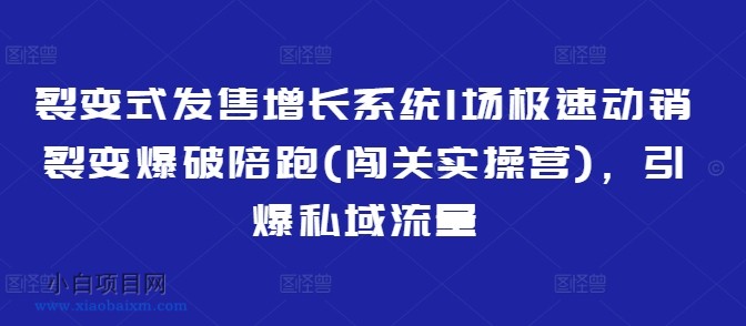 裂变式发售增长系统1场极速动销裂变爆破陪跑(闯关实操营)，引爆私域流量-小白项目分享网