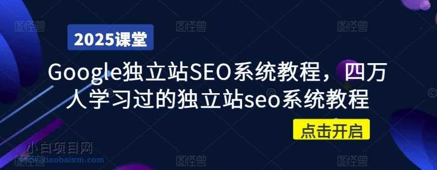 Google独立站SEO系统教程，四万人学习过的独立站seo系统教程-小白项目分享网