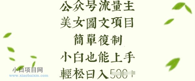 流量主长期收益项目，美女图片简单复制，小白也能上手，轻松日入5张-小白项目分享网