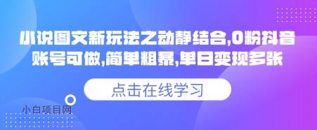 小说推文图文新玩法之动静结合，0粉抖音账号可做，简单粗暴，单日变现多张-小白项目分享网