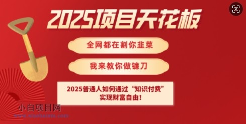 2025项目天花板普通人如何通过知识付费，实现财F自由【揭秘】-小白项目分享网