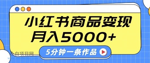 小红书字幕作品玩法，商单变现月入5k+，5分钟一条作品-小白项目分享网