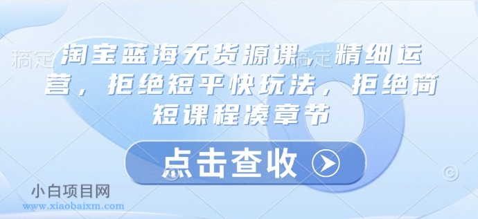 淘宝蓝海无货源课，精细运营，拒绝短平快玩法，拒绝简短课程凑章节-小白项目分享网