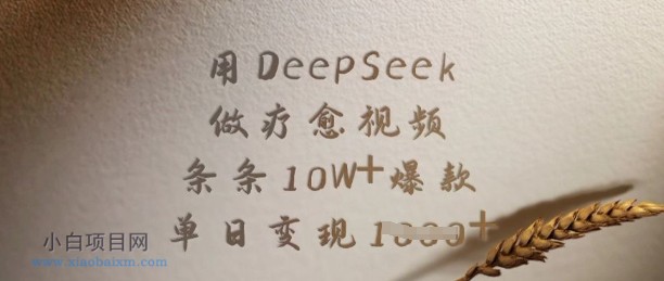 用DeepSeek做疗愈视频，条条10W+爆款，单日变现多张-小白项目分享网