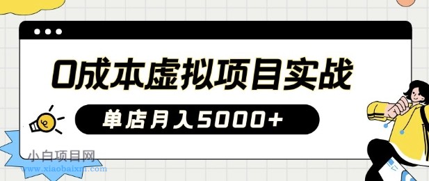 0成本虚拟项目实战手把手教你落地，单店月入5k-小白项目分享网