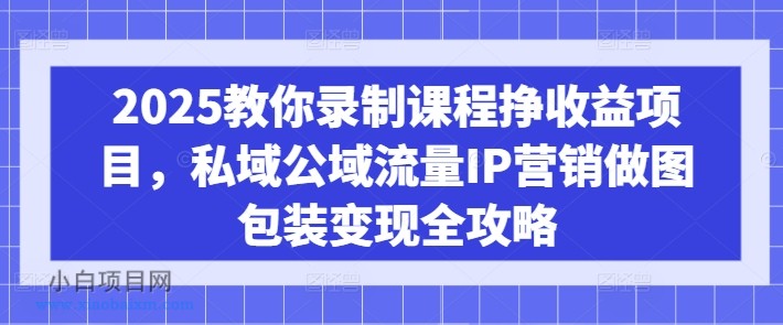 2025教你录制课程挣收益项目，私域公域流量IP营销做图包装变现全攻略-小白项目分享网