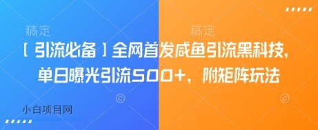 【引流必备】全网首发咸鱼引流黑科技，单日曝光引流500+，附矩阵玩法【揭秘】-小白项目分享网