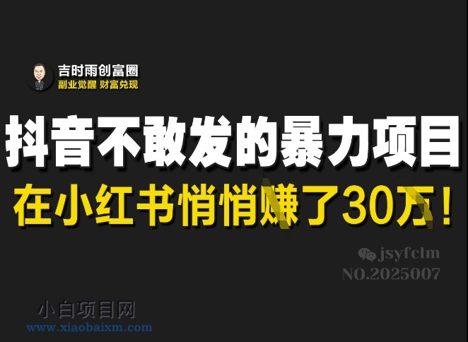 抖音不敢发的暴利项目，在小红书悄悄挣了30W-小白项目分享网