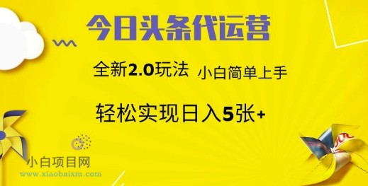 今日头条代运营，新2.0玩法，小白轻松做，每日实现躺Z5张【揭秘】-小白项目分享网