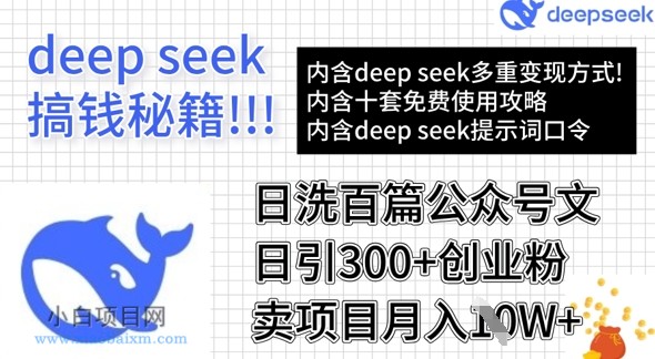 用DeepSeek日洗百篇公众号文章，轻松日引300+创业粉，卖项目月入1w+-小白项目分享网