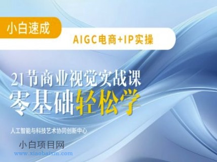 AIGC电商必备实操：21节平面设计实战课，教你玩转AI-小白项目分享网