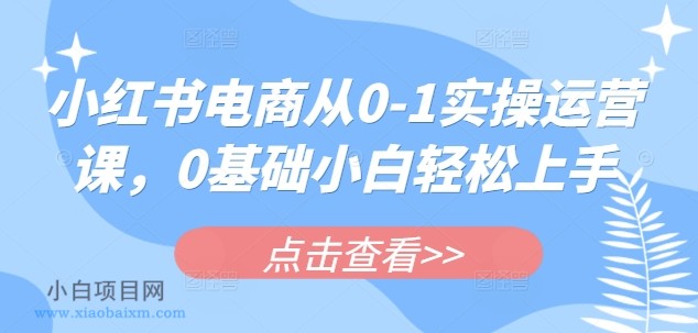 小红书电商从0-1实操运营课，0基础小白轻松上手-小白项目分享网