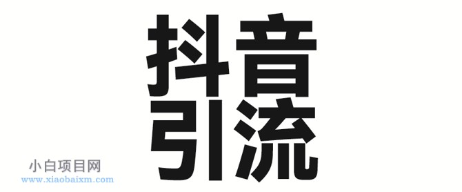 2025年抖音最新暴力引流法，只需一个视频加一段文字，简单操作，单日引300+创业粉-小白项目分享网