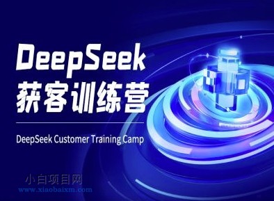 DeepSeek获客训练营-ai电商教程-小白项目分享网