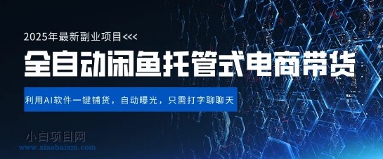 【闲鱼全自动电商带货】三年磨一剑，一朝露锋芒，长期稳定项目，单日稳定变现5张【揭秘】-小白项目分享网