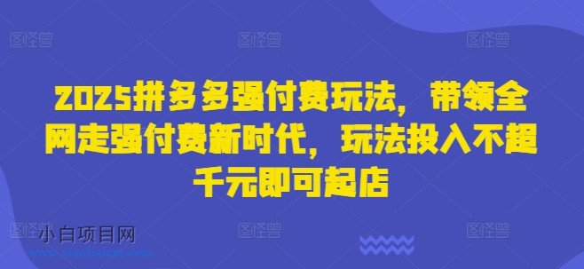 2025拼多多强付费玩法，带领全网走强付费新时代，玩法投入不超千元即可起店-小白项目分享网