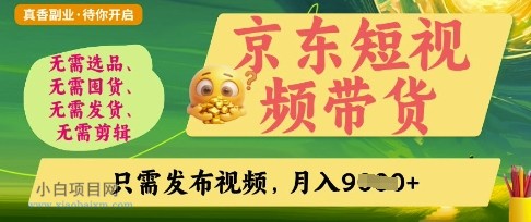 京东短视频带货，开启零门槛躺Z新时代【揭秘】-小白项目分享网