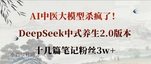 AI中医大模型杀疯了！DeepSeek中式养生2.0版本，十几篇笔记粉丝3w+-小白项目分享网
