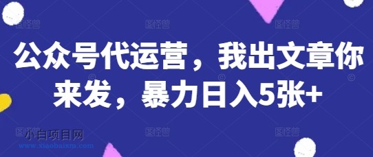 公众号代运营，我出文章你来发，暴力日入5张+【揭秘】-小白项目分享网