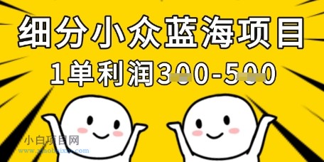 细分小众蓝海项目，一单利润3张，每月收入稳定过1w+-小白项目分享网