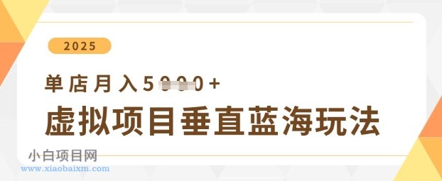 虚拟项目垂直玩法，实现单店月入5k+-小白项目分享网