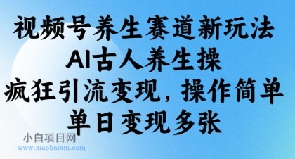 视频号养生赛道新玩法，AI古人养生操，疯狂引流变现，操作简单，单日变现多张-小白项目分享网