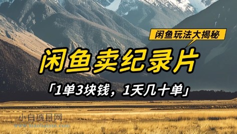 闲鱼卖纪录片1单3块钱，1天几十单，项目稳定有潜力-小白项目分享网