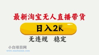4月最新淘宝无人直播带货，日入数张，不违规不封号，独家技术，操作简单【揭秘】-小白项目分享网