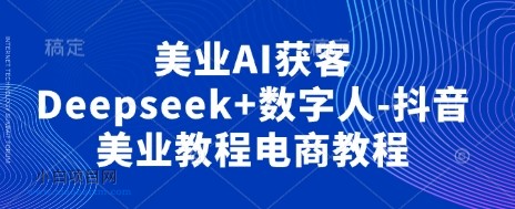 美业AI获客Deepseek+数字人-抖音美业教程电商教程-小白项目分享网