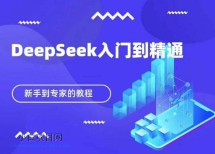 DeepSeek快速从入门到精通，新手的保姆级教程-小白项目分享网