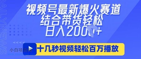 视频号最新爆火ai民国美女视频，轻松百万播放，结合带货日入数张-小白项目分享网