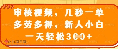 最新审核视频，几秒一单，多劳多得，新人小白一天轻松3张【揭秘】-小白项目分享网