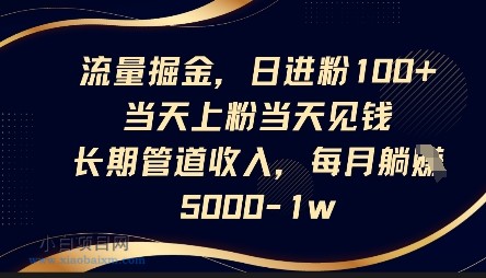 流量掘金，日进粉100+，当天上粉当天见钱，长期管道收入，每月躺挣5k-小白项目分享网