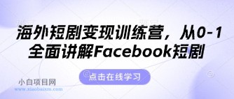 海外短剧变现训练营，从0-1全面讲解Facebook短剧-小白项目分享网