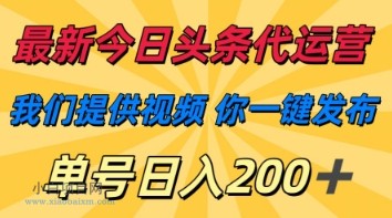 最新今日头条代运营，我们提供视频，你一键发布，单号日入200+【揭秘】-小白项目分享网