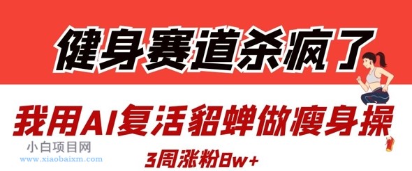 健身赛道杀疯了？我用AI复活貂蝉做瘦身操，3周涨粉8W-小白项目分享网